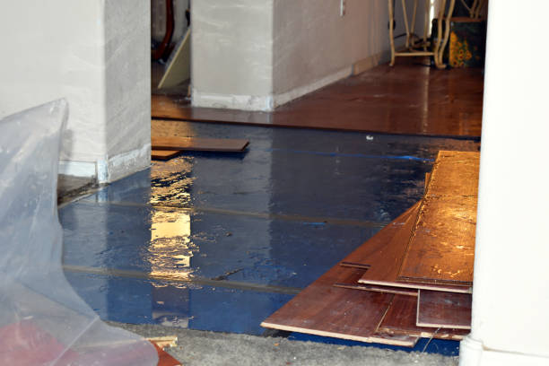 Professional Basement Flood Cleanup technician working in Warren, ME